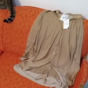 Promesa Light Brown Button-Up Blouse